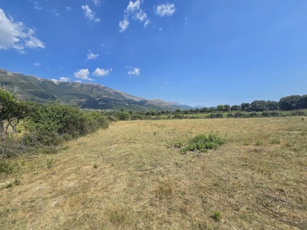 Borsh, shitet toke , 7.500 m² 1.500.000 € 