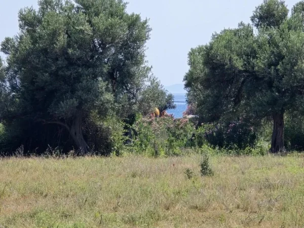 Borsh, shitet toke , 7.500 m² 1.500.000 € 