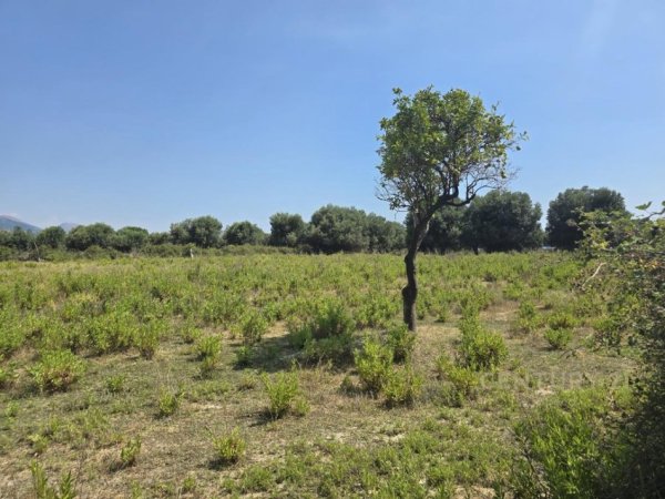Borsh, shitet toke , 7.500 m² 1.500.000 € 