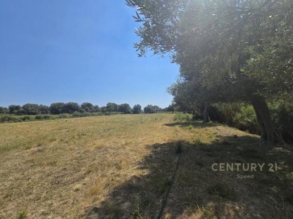 Borsh, shitet toke , 7.500 m² 1.500.000 € 