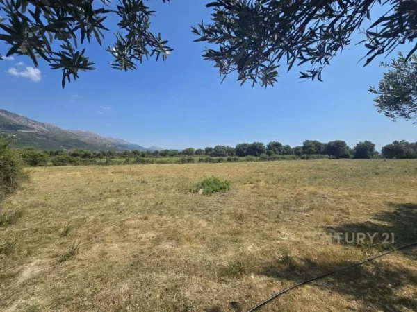 Borsh, shitet toke , 7.500 m² 1.500.000 € 