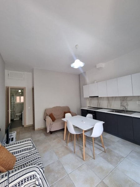 Tirane, jepet me qera apartament 1+1 Kati 0, 60 m² 370 € (Rruga e Elbasanit)
