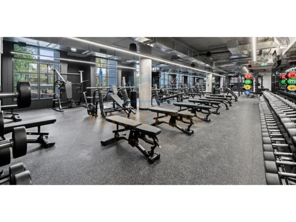 SHITET BIZNESI, PALESTER TEK RRUGA BARRIKADAVE