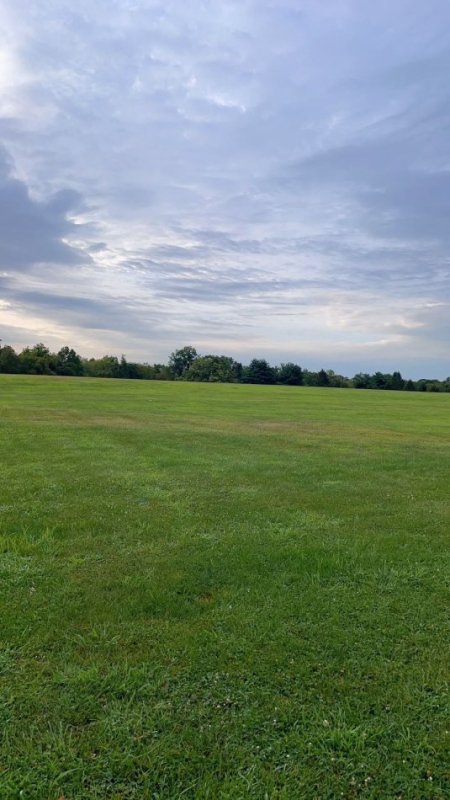 Tirane, shitet truall , 3.600 m² 198.000 € (PEZE E VOGEL)