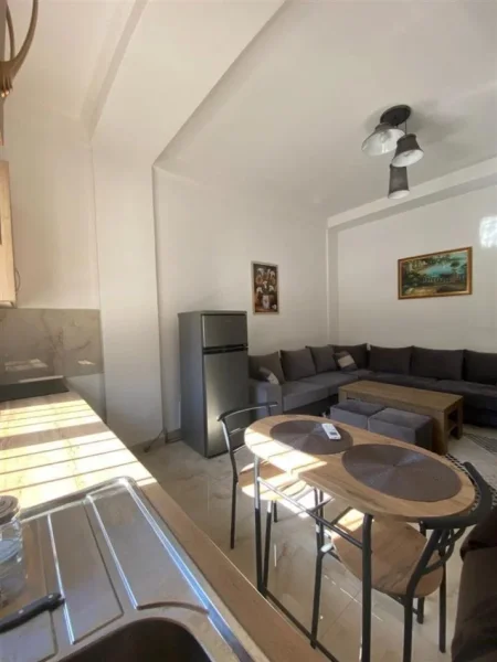 Tirane, jepet me qera apartament 1+1 Kati 1, 45 m² 500 € (RRUGA E ELBASANIT, PRANE AMBASADES AMERIKANE)