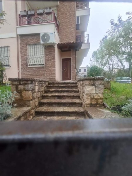 Tirane, jepet me qera Vile 2+1+BLK Kati 1, 68 m² 40.000 Leke (Rruga e Zallit)