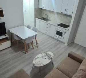 Tirane, jepet me qera apartament 1+1 Kati 2, 60 m² 360 € (Rruga e Elbasanit)