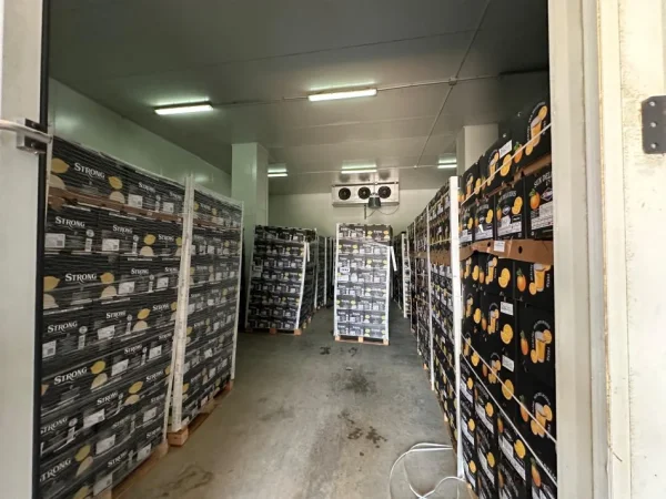 Tirane, jepet me qera magazine Kati 0, 1.300 m² 6.000 € 