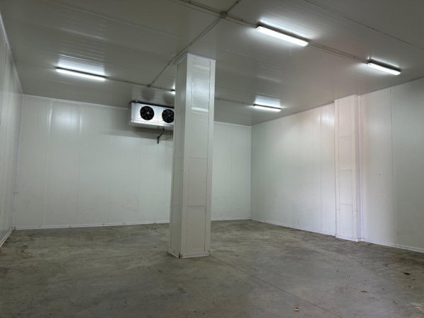 Tirane, jepet me qera magazine , 1.300 m² 6.000 € 