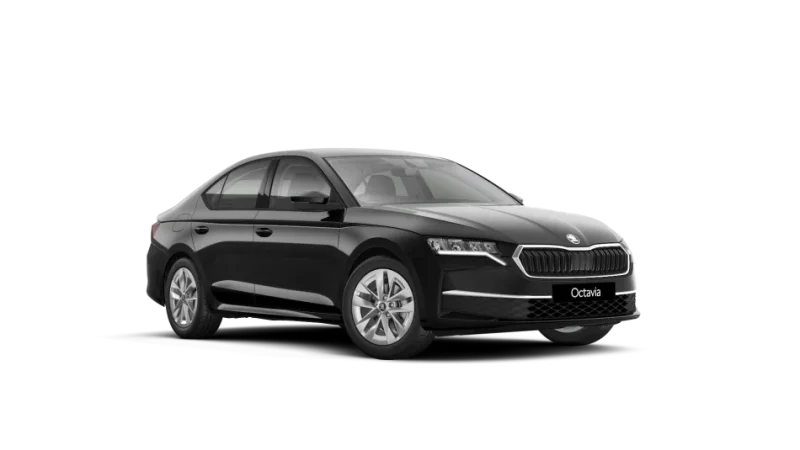 Tirane, jap me qera makine SKODA Nafte, e zeze automatik Kondicioner 10 km 80 €