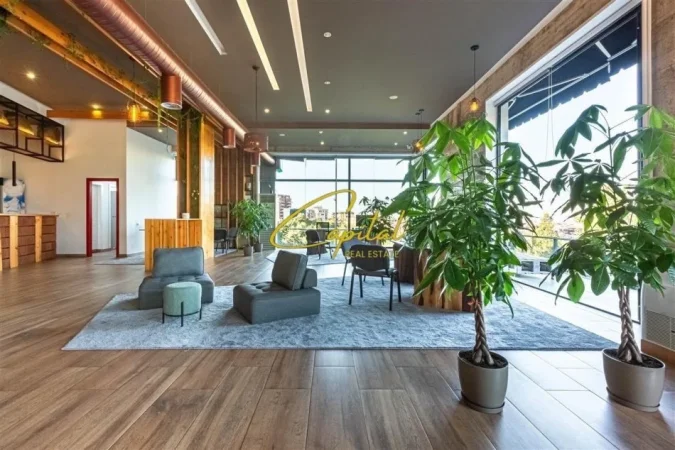 Tirane, jepet me qera zyre Kati 0, 110 m² 600 € (KOPSHTI ZOOLOGJIK)