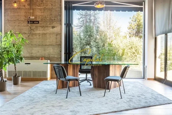 Tirane, jepet me qera zyre Kati 0, 110 m² 600 € (KOPSHTI ZOOLOGJIK)