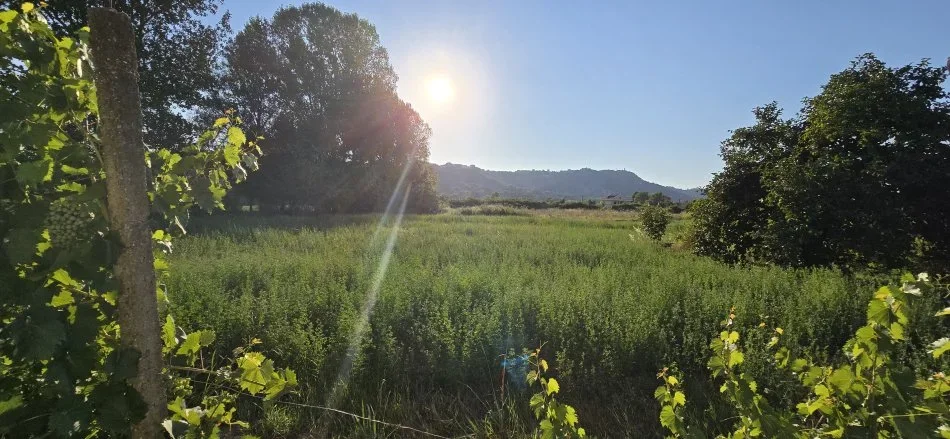 Tirane, shes shtepi 2+1 Kati 1, 200 m² 230.000 € (Fushe Preze)