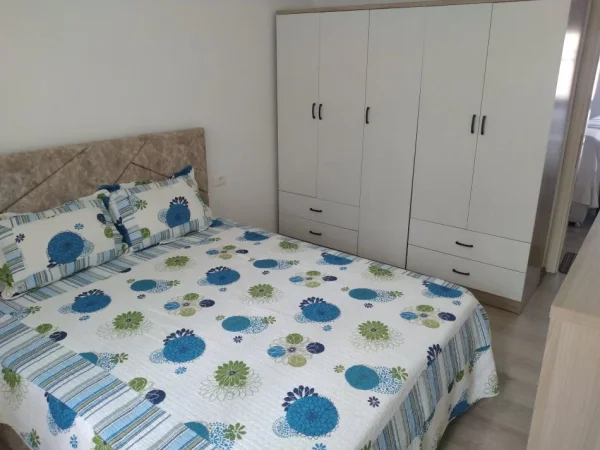Pogradec, jepet me qera apartament 1+1+Aneks+Ballkon Kati 1, 230 €