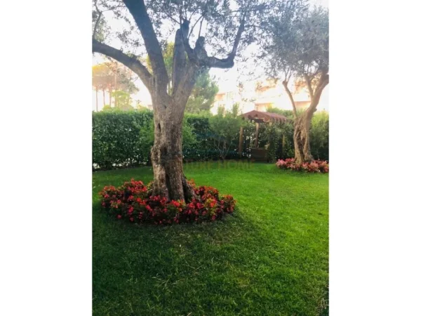 Durres, shitet 4+1 Kati 0, 160 m² 530.000 € (Gjiri I Lalëzit)