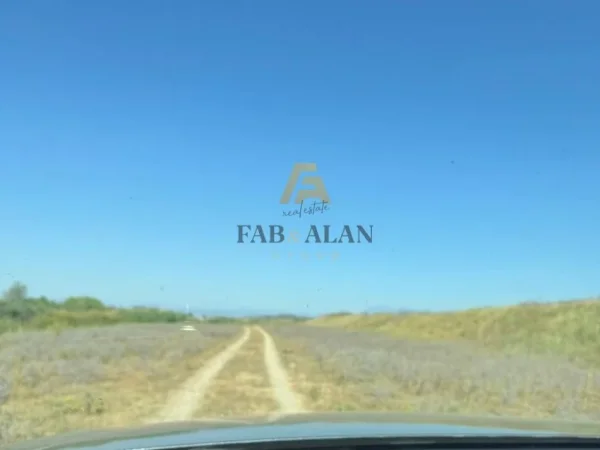 Divjake, shitet toke , 1.000.000 m² 6.000.000 € (Laguna e Karavastase)