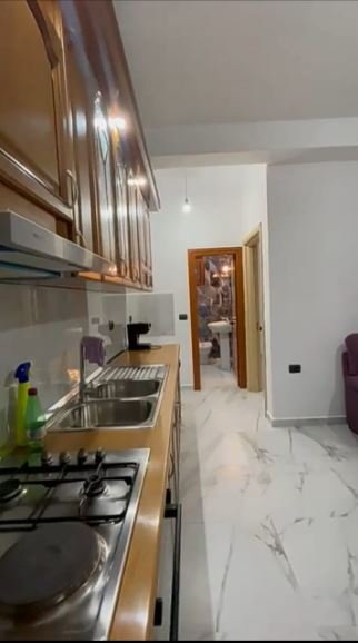 Tirane, jepet me qera shtepi 1+1 Kati 1, 65 m² 300 € (Jepet me Qera Super Hyrja 1+1 ne Allias ne Tirane)