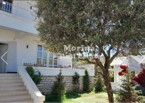 Tirane, shes Vile 3 Katshe Kati 1, 947 m² 600.000 € (Shkolla e Bashkuar)