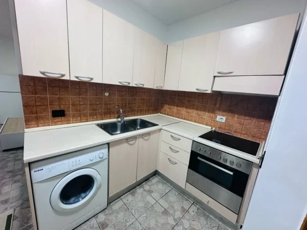 Tirane, jepet me qera apartament 1+1+Aneks Kati 9, 450 € (komuna e parisit)