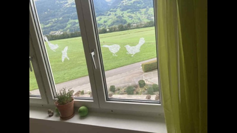 Zvicer,  Njoftim për Qira Apartamenti në Sargans, Kanton St. Gallen nga 1 Gushti 2025