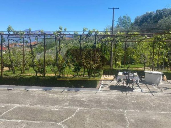 Tirane, shitet shtepi 2.000 m² 300.000.000 Euro