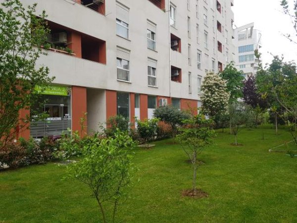 Tirane, jap me qera ambjent biznesi Kati 0, 60 m² 450 Euro (Rr.frosina plaku kompleksi kontakt)