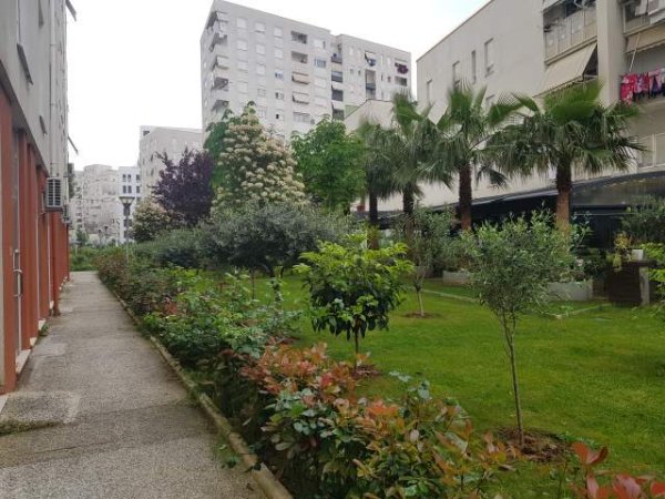 Tirane, jap me qera ambjent biznesi Kati 0, 60 m² 450 Euro (Rr.frosina plaku kompleksi kontakt)