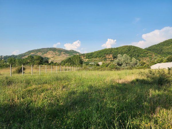 Tirane, shitet toke , 4.000 m² 265.000 € (Vishnje)