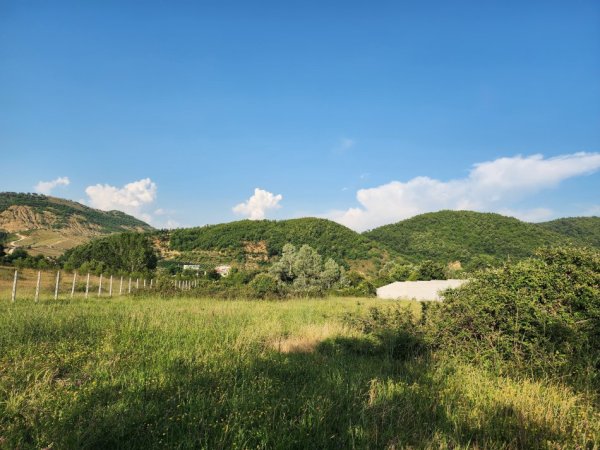 Tirane, shitet toke , 4.000 m² 265.000 € (Vishnje)