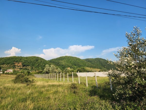 Tirane, shitet toke , 4.000 m² 265.000 € (Vishnje)