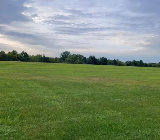 Tirane, shitet truall , 3.600 m² 198.000 € (PEZE E VOGEL)