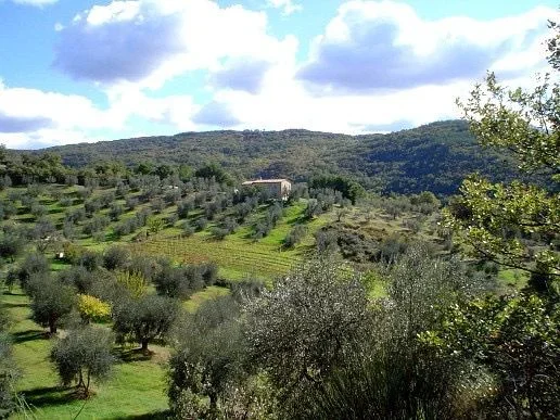 Tirane, shitet Vile 1 Katshe Kati 1, 5.000 m² 600.000 € (TUFINE)