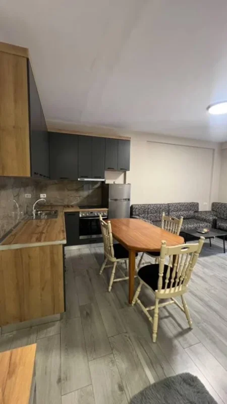 Tirane, jepet me qera apartament 2+1 Kati 2, 450 € (astir)