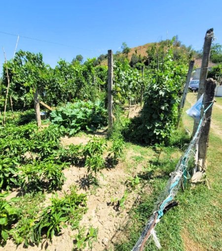 Kavaje, shitet shtepi 2+1+Ballkon Kati 1, 850 m² 45.000 € (Kavaje)