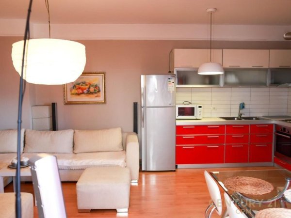 Tirane, jepet me qera apartament 1+1 Kati 7, 65 m² 650 € (9 kateshet)