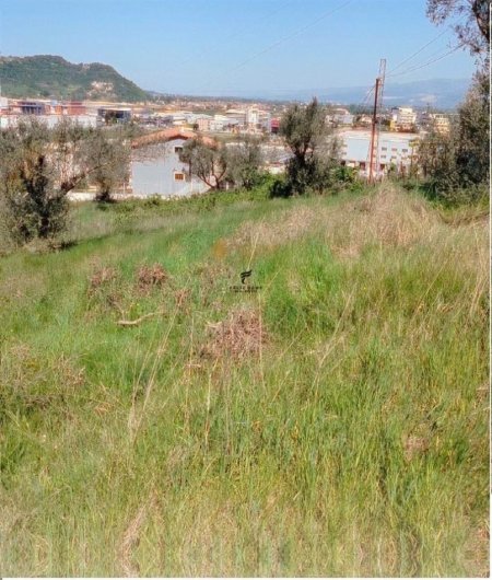 Tirane, shitet truall , 1.500 m² 165.000 € (RINAS)