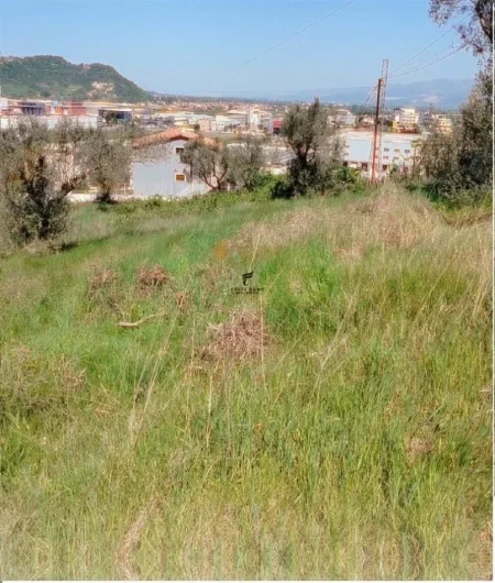 Tirane, shitet truall , 1.500 m² 165.000 € (RINAS)