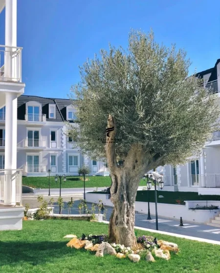 Tirane, shitet apartament 2+1 Kati 1, 84 m² 290.000 € (TEG)