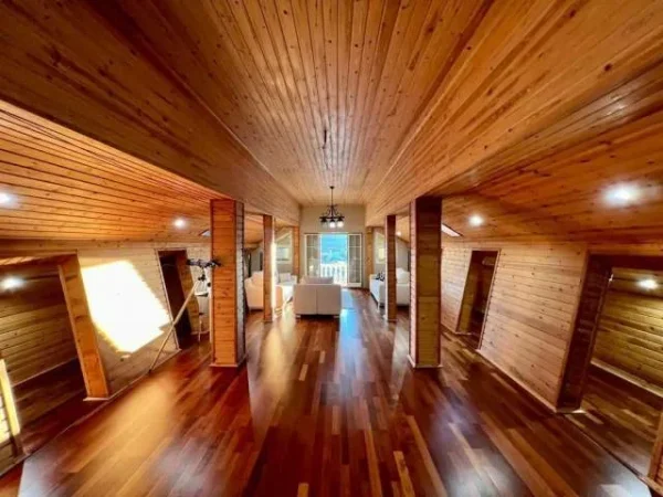 Tirane, shes Vile 2 Katshe Kati 0, 450 m² 500.000 Euro (Peze e Vogel)