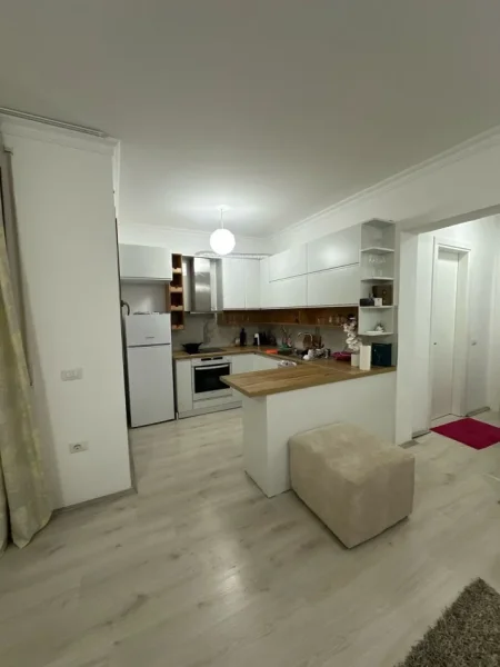 Tirane, jepet me qera apartament 1+1+Ballkon Kati 1, 61 m² 450 € (Kopshti Botanik, pranë xhamisë së Selitës)