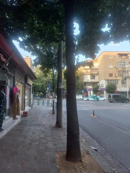 Tirane, shes biznesin 7000 euro 7.000€