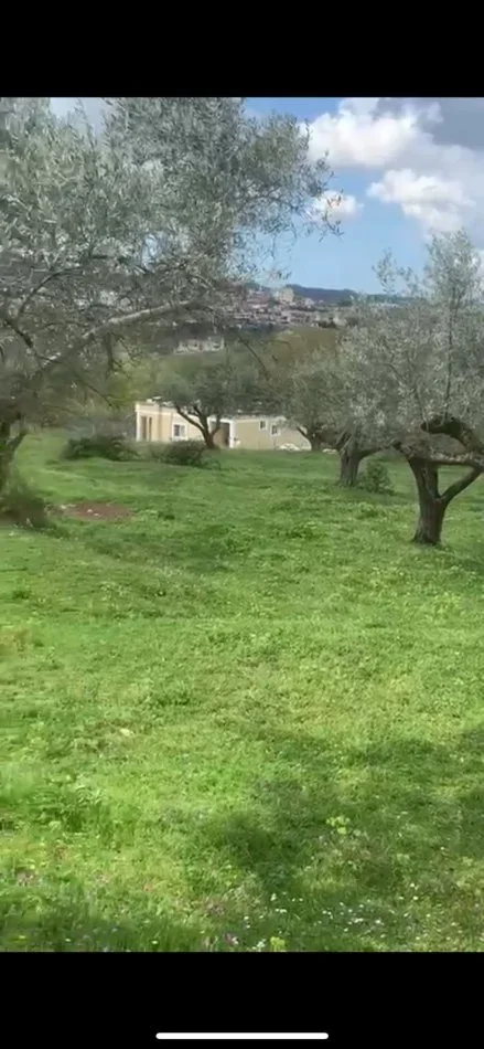 Tirane, shitet truall , 32.000 m² (Farke)