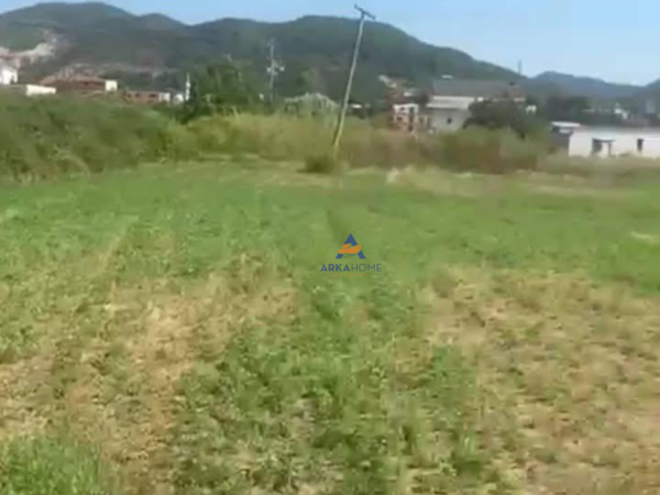 Tirane, shitet toke , 3.000 m² 180.000 € (PEZE, HELMES)