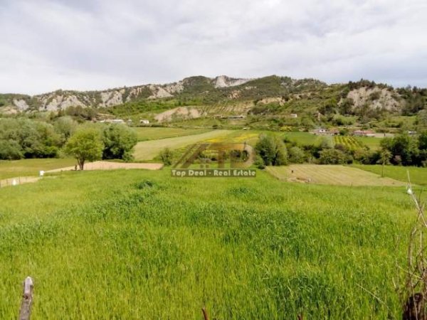Tirane, shes toke 5.000 m² 85.000 Euro (Peze e Madhe)