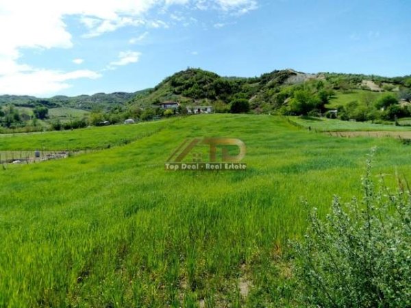 Tirane, shes toke 5.000 m² 85.000 Euro (Peze e Madhe)