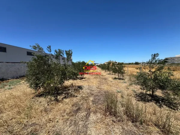 Vlore, shitet toke , 2.720 m² (Skrofotinë)