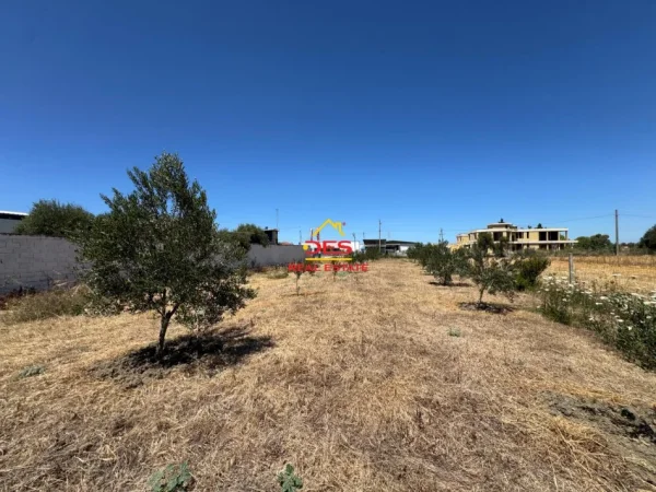 Vlore, shitet toke , 2.720 m² (Skrofotinë)