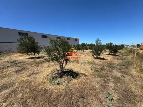 Vlore, shitet toke , 2.720 m² (Skrofotinë)