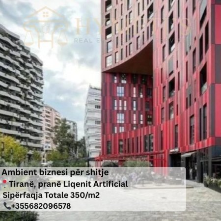 Tirane, shitet ambjent biznesi , 350 m² (Rruga e Elbasanit)