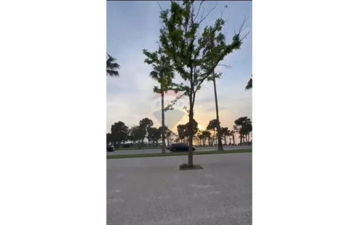 Vlore - Lungomare, shitet ambjent biznesi Kati 0, 555 m² 2.340.000 € (ID: 530571001-39)